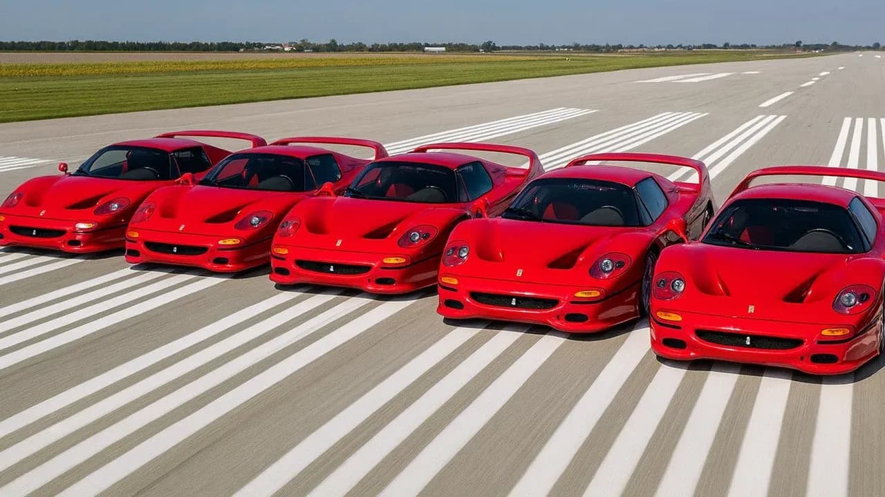 The Five Ferrari F50's